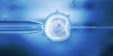 injector going through an ovum