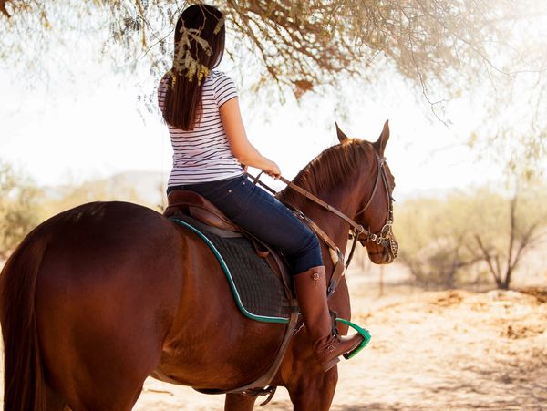 A girl riding a horse on a calming trail under a tree.