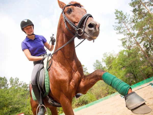 A young woman wearing a helmet and riding a light brown horse.