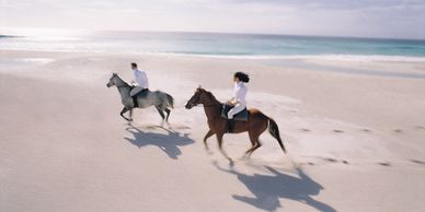 HORSEBACK RIDING ON AMELIA ISLAND