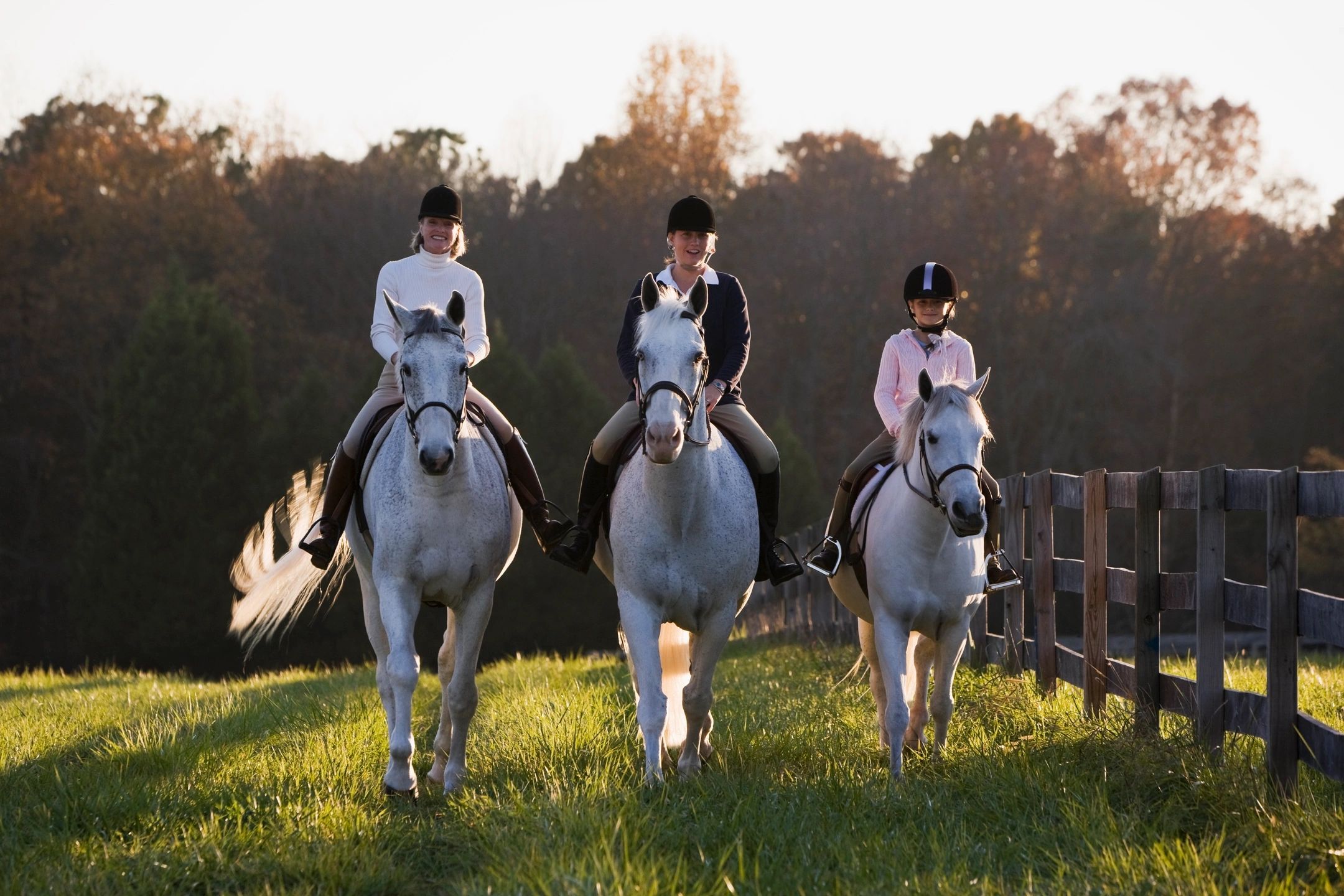 Horse riding lessons. Люди играют во всадников друг на друге. Take riding Lessons. Horseback riding Group.