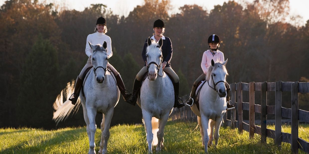 Jersey Equestrian Horse and Rider Products