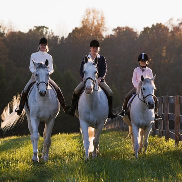 Three riders on white horses trotting in a grassy field at sunset.