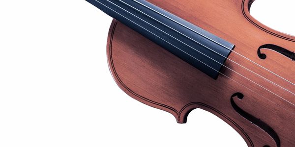 a violin