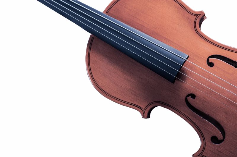 Close-up of a violin