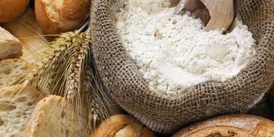 atta chakki, flour grinder, flour mill, atta maker, how to grind whole wheat flour at home?