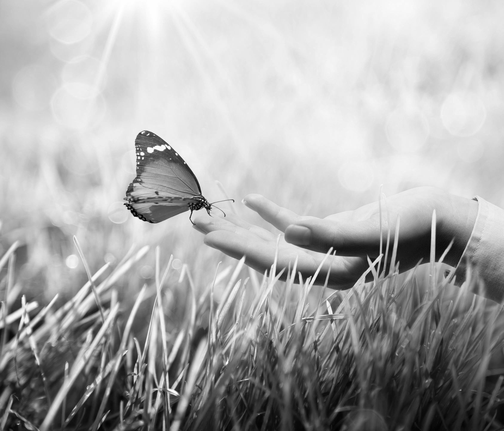 woman's hand with a butterfly resting on her fingers. Grass and sunlight.