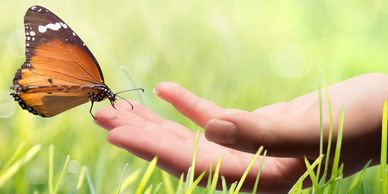 Furry or fuzzy, creepy or crawly, enter the wonderful world of animals.