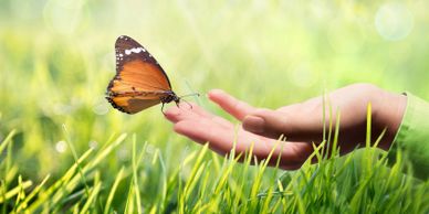A butterfly landing on a person's hand over grass indicating it is eco-friendly dry cleaning.
