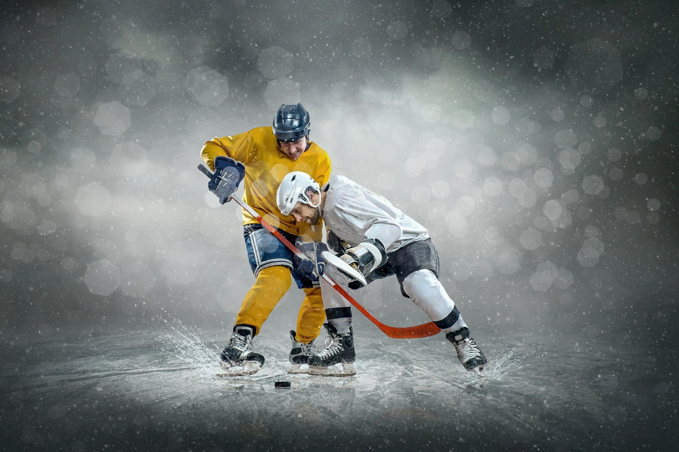 Два хоккеиста на льду