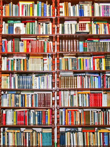 A Shelf filled with books for the Regal Summit Literary Book Awards