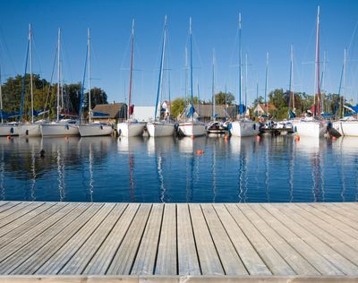 Sailboats docked at a marina with clear blue sky and calm water.
