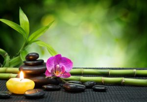 Revitalize Skin And Body Spa