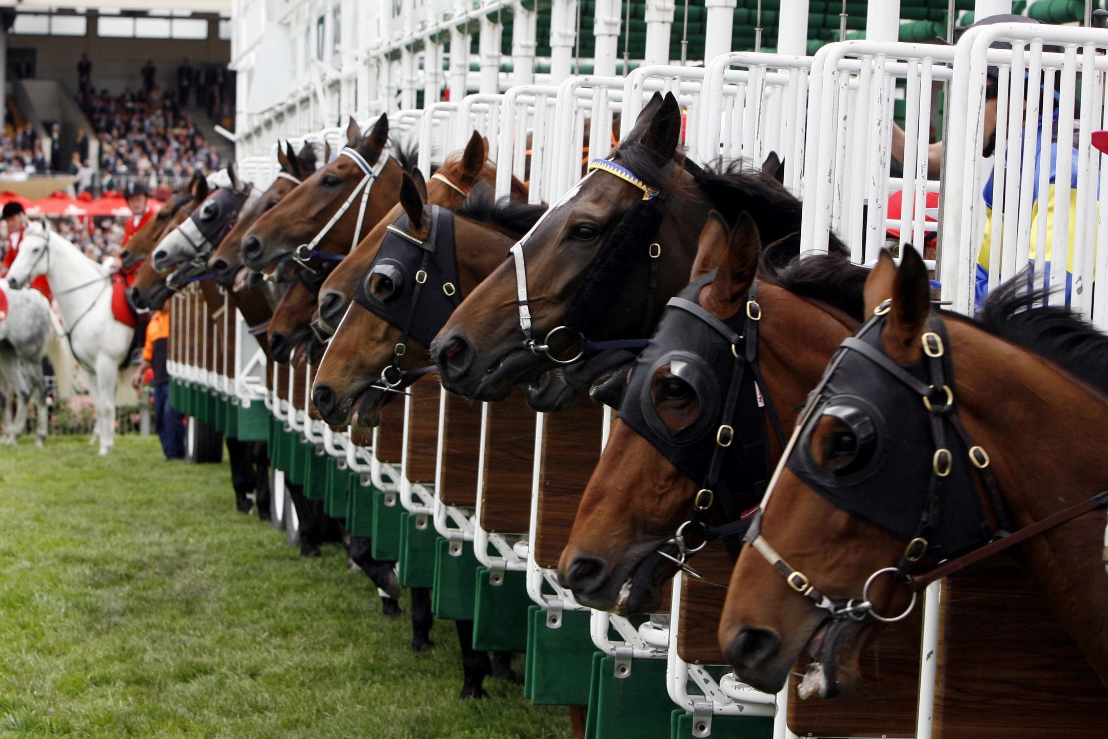 Big Bets Saturday  Who the Big Horse Racing Punters are Backing Today