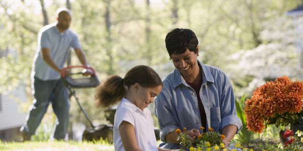 A family in a garden