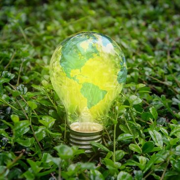 Light bulb with Earth image inside on green leaves symbolizing eco-friendly energy.