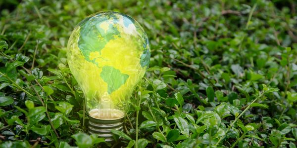 The earth as a light bulb in green grass