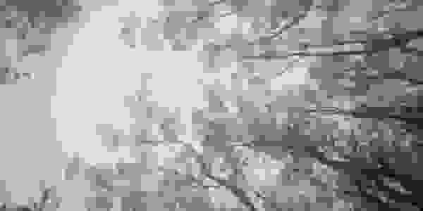 image8
