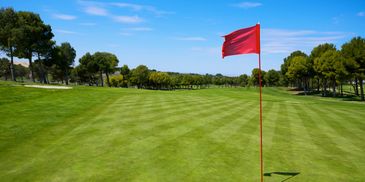Golf course in the United States.