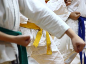 Martial arts students practicing punches with colored belts.