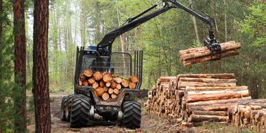 Logging machine lifting logs in a forest clearing.