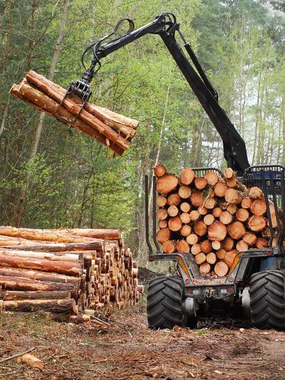 Logs for log cabin home kits