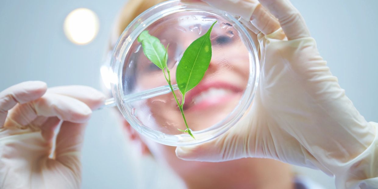 female smiling wearing gloves and holding clear petri dish with plant leaves