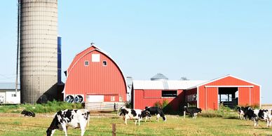 Farm & Ranch services in Murdo SD