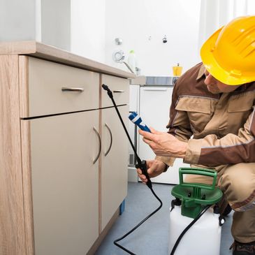 Watch out for bed bugs in cabinets in your bedroom.