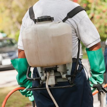 weed spray, weed clearance, weeding