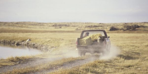 Gooi d'r maar in wat je mee wilt nemen. Zo'n pick-up truck is heel handig voor drukke mensen.