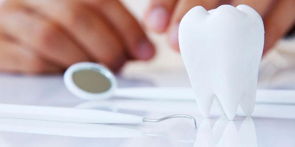 Hands behind molar tooth sculpture with dental tools