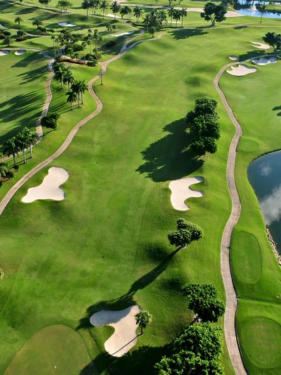Aerial view of a lush golf course with sand bunkers and palm trees.