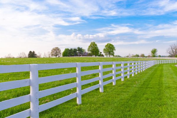 White fence stretches across green field under blue sky.