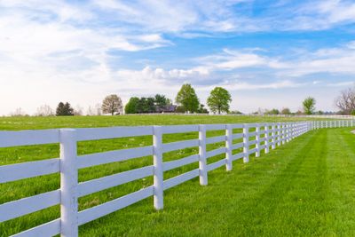 No job is too big or too small. White decorative fences are great for your pastures landscape. 
