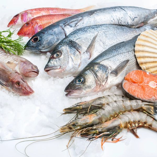 Seafood Available