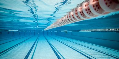 Underwater view of an empty swimming pool with lane dividers.