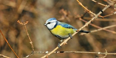 Study nature and learn to draw what you see around you.