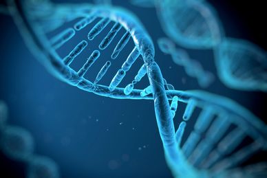 DNA genetic testing connective tissue disorder