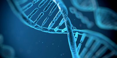 Close-up of a blue DNA double helix structure.
