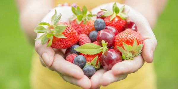 Hands of a woman holding berries