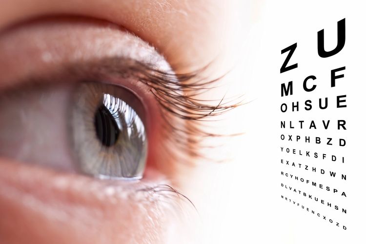 Measures the following: Ophthalmodynamometry, Tonography, Ocular Pulse Amplitude, Tonometry