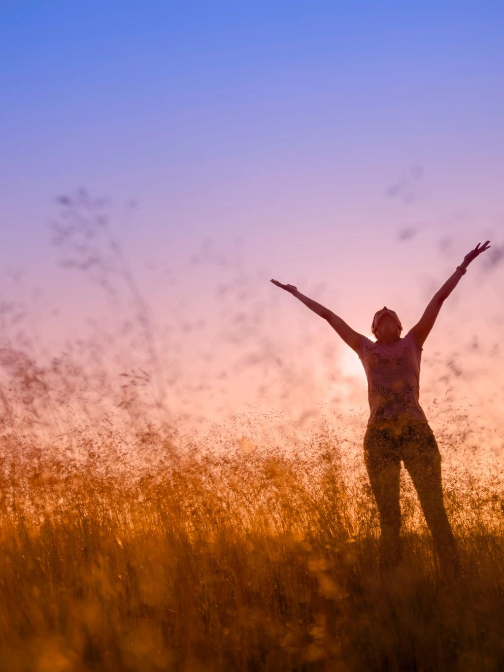 Silhouette of a person with arms raised in a golden field at sunset.