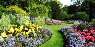 flower planting, shrub planting, ground cover planting, edging, flowerbed, flowerbed boarders