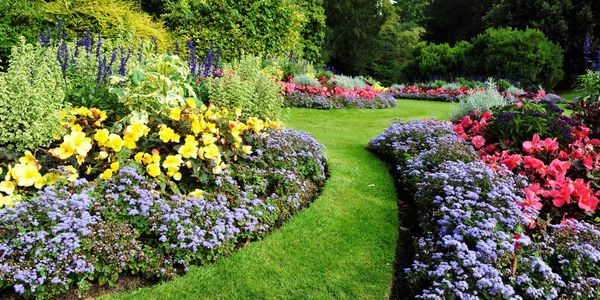 Garden with flowers in bloom