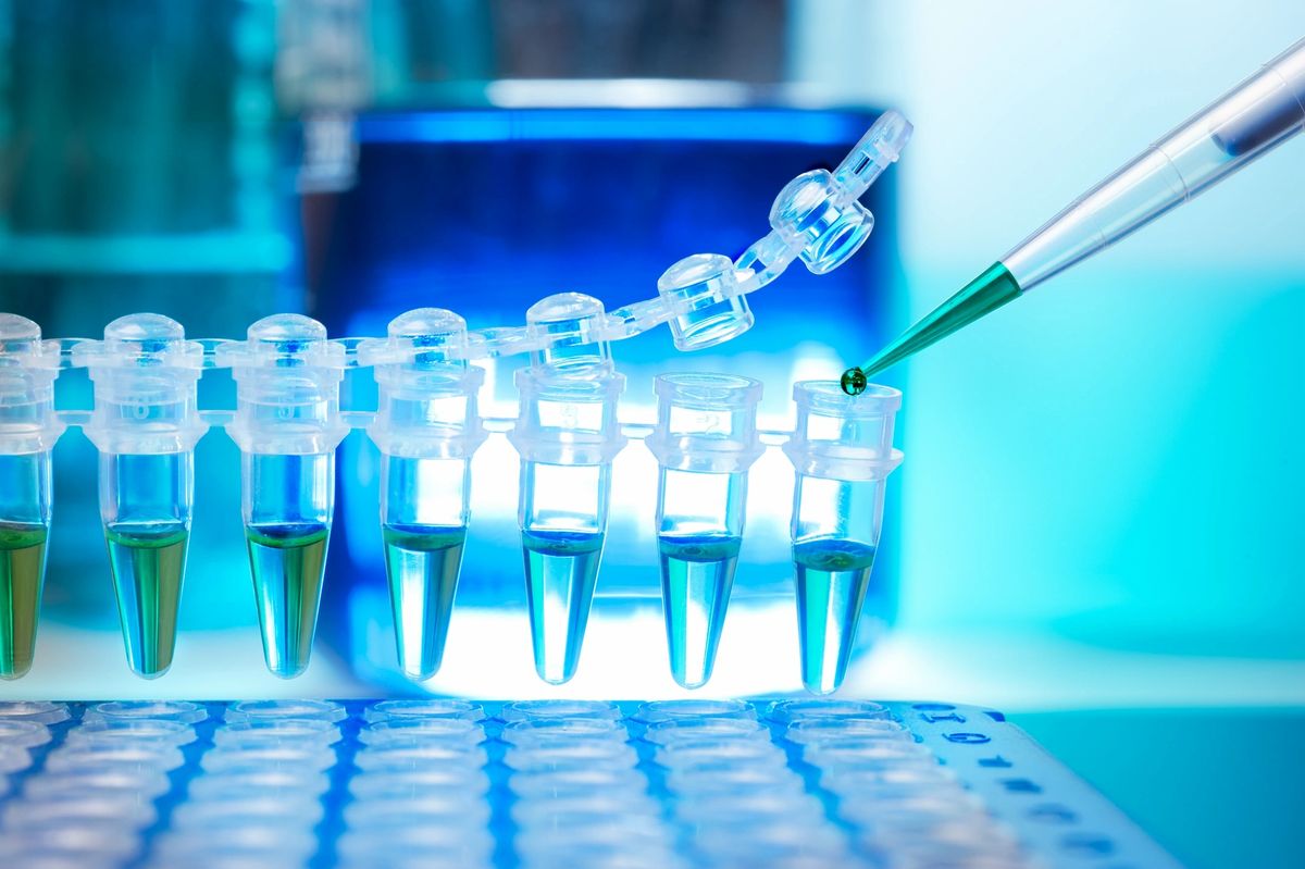 Deteccion de Chlamydia Trachomatis y Neisseria Gonorrhoeae por PCR