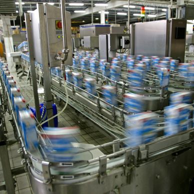 Milk cartons moving quickly on a factory conveyor belt.
