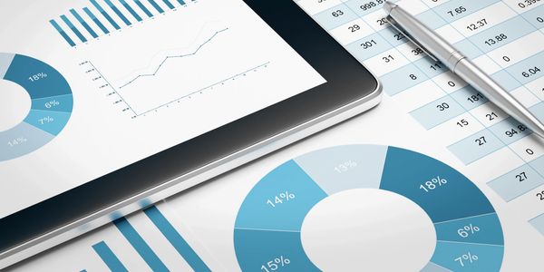 Charts and graphs tracking website data.