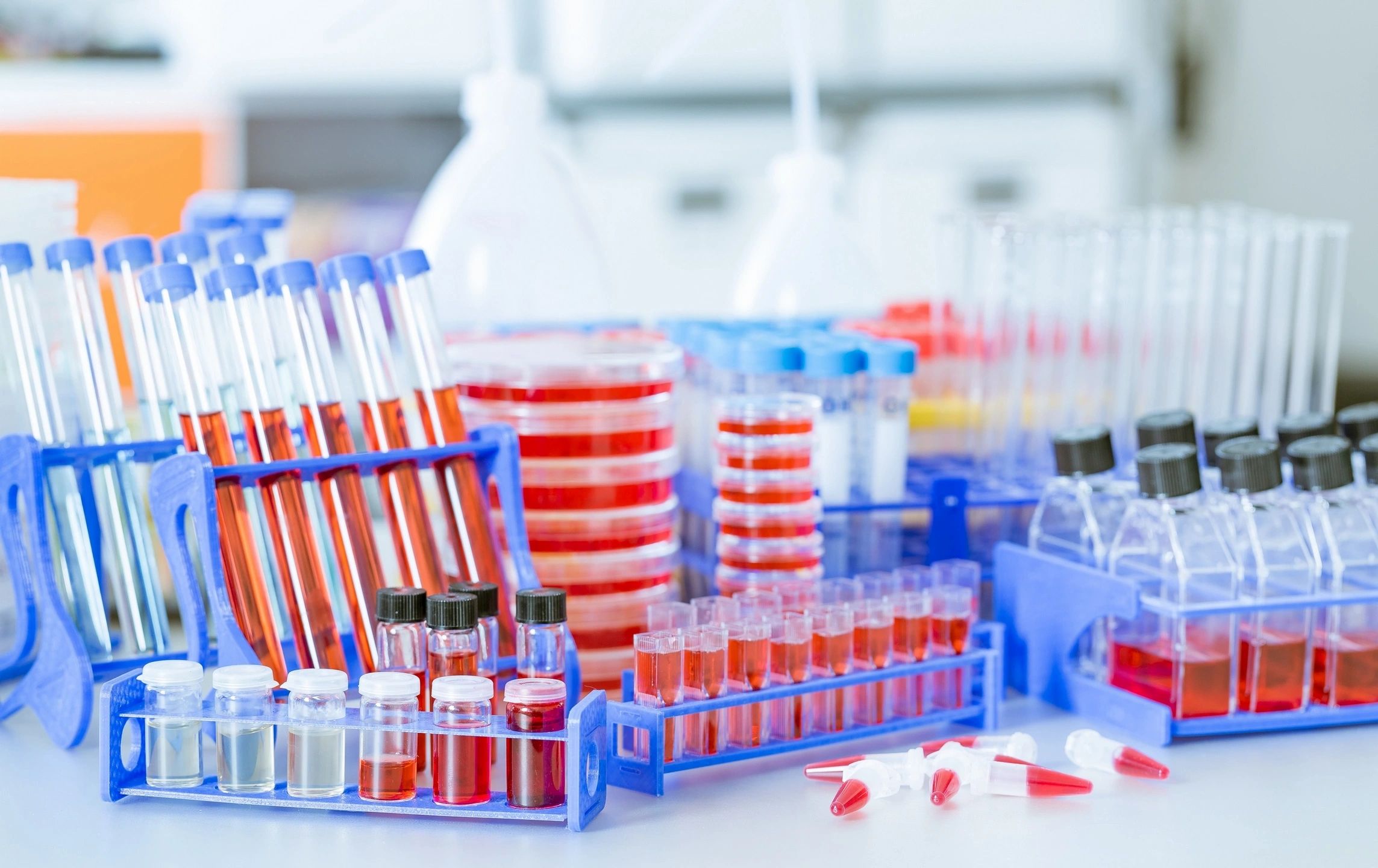 Laboratory test tubes and containers filled with various colored liquids.