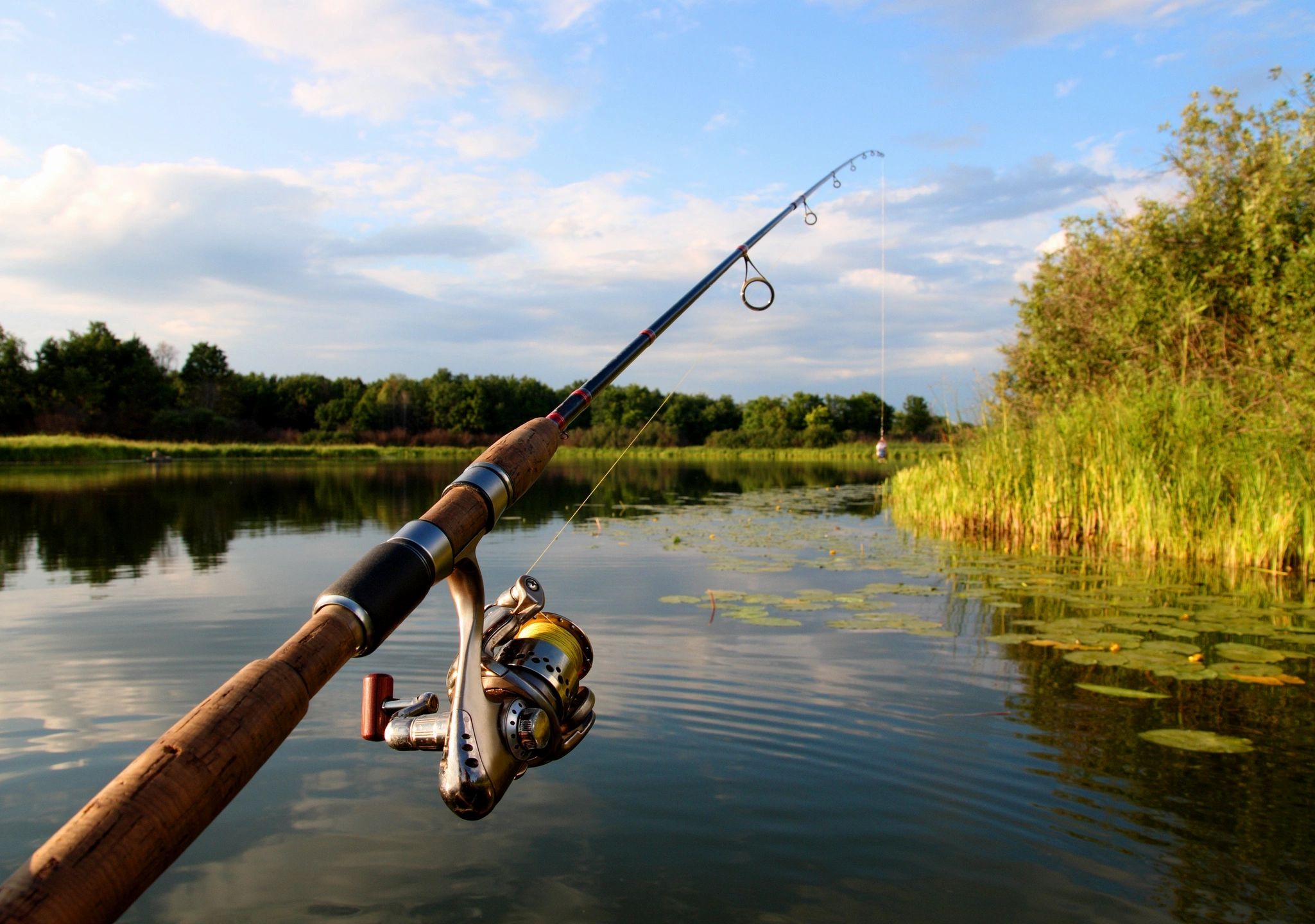 Fishing for science! A productive lake - Fishing with Rod